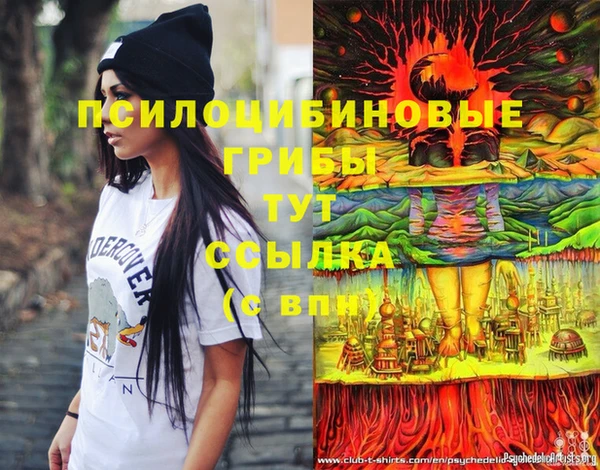 спиды Липки