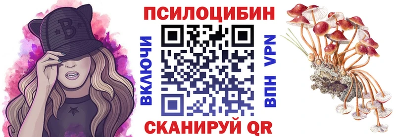 купить наркоту  Ленинградская  Псилоцибиновые грибы GOLDEN TEACHER 